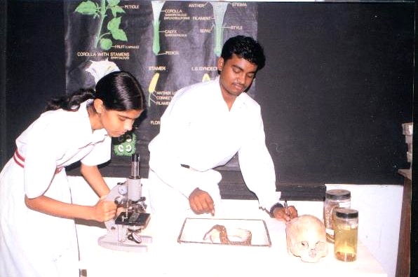 biologylab.jpg (53056 bytes)