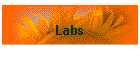 Labs