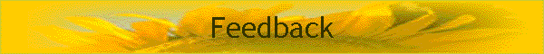 Feedback