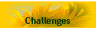 Challenges
