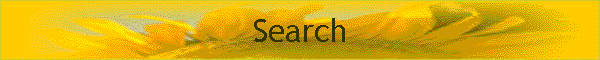 Search